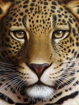 Portrait of a Leopard